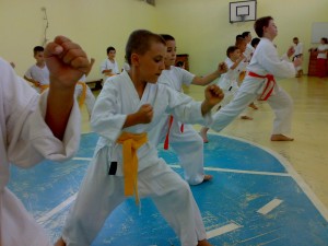 URIASII DE LA FUDOKAN KARATE TIMISOARA015