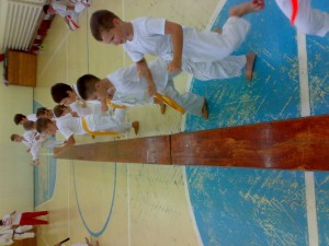 URIASII DE LA FUDOKAN KARATE TIMISOARA035